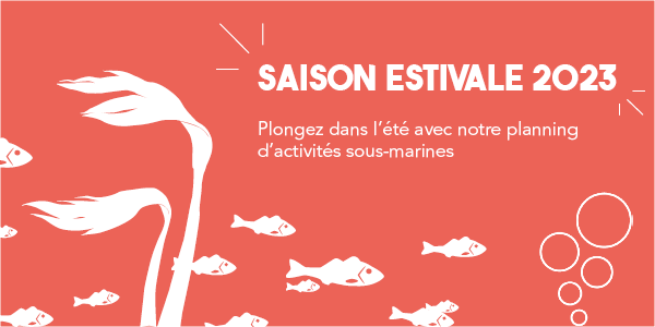 Saison estivale 2023