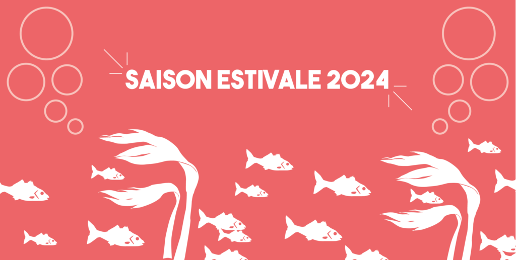 Saison estivale 2024